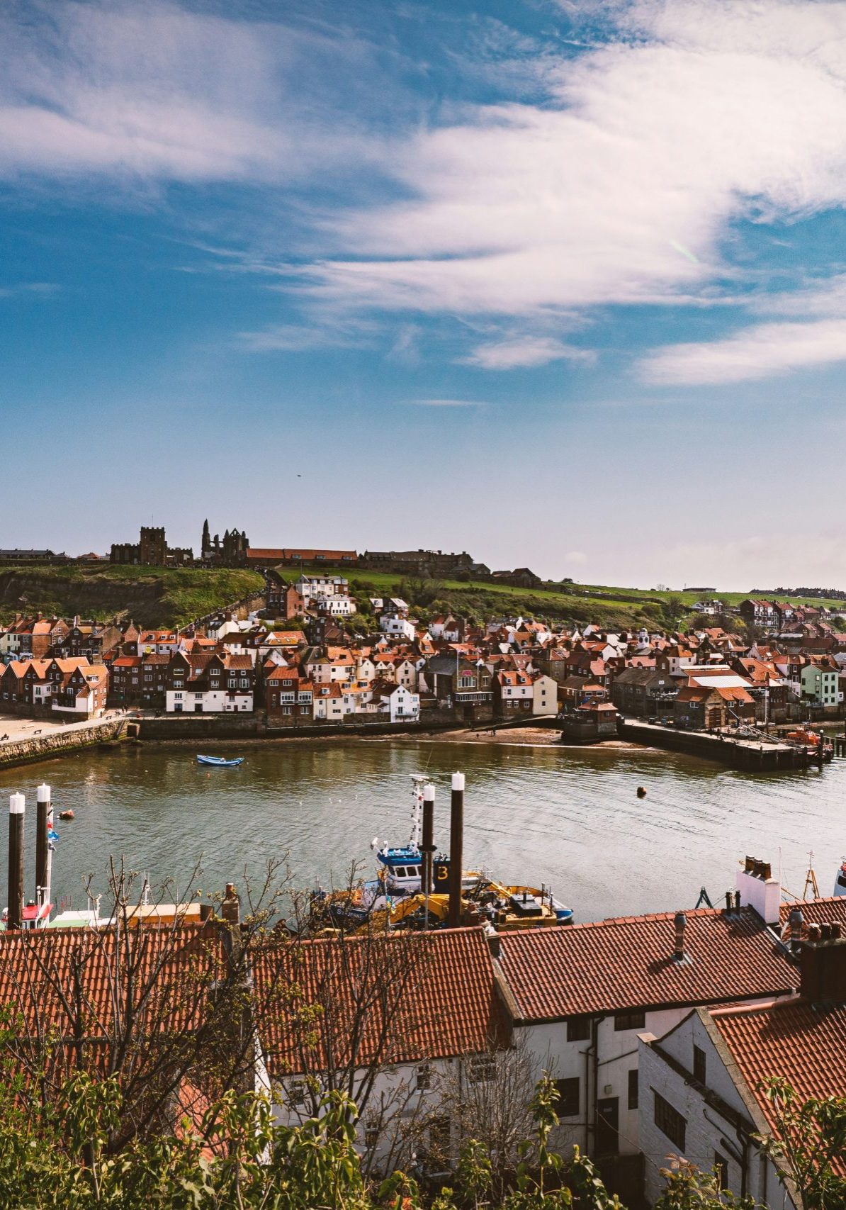 The Local Area Whitby